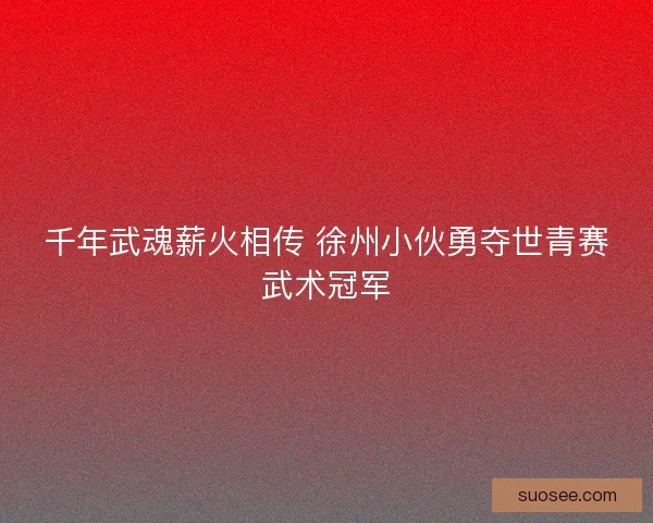 千年武魂薪火相传 徐州小伙勇夺世青赛武术冠军